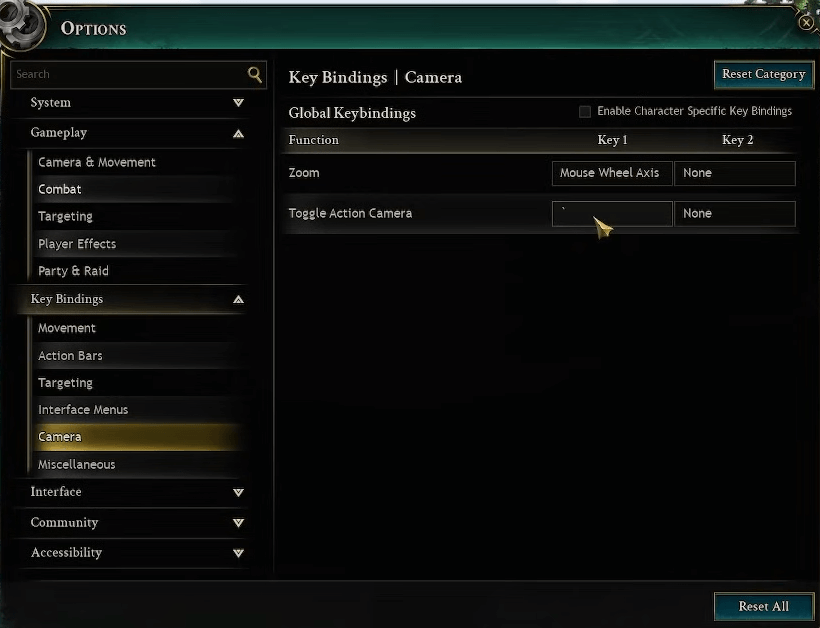 ashes of creation camera setting